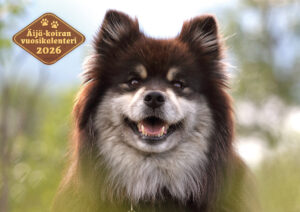 Äijä-koiran vuosikalenteri 2026